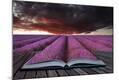 Photographic Print