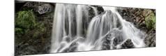 Premium Photographic Print