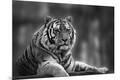 Premium Photographic Print