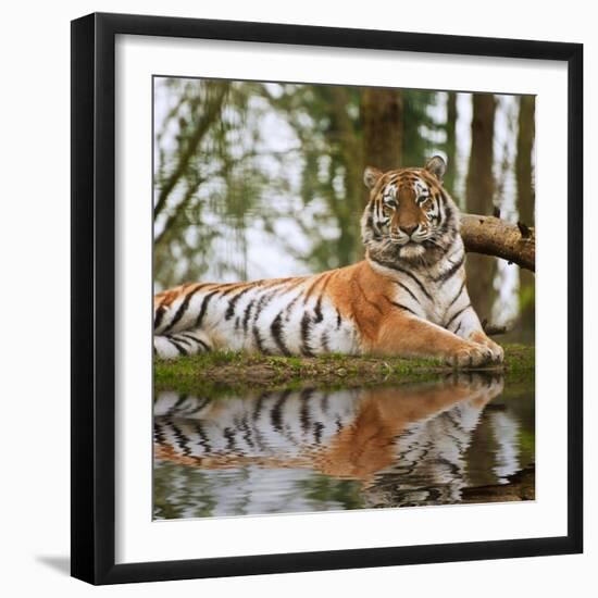 Photographic Print, , large