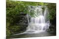 Premium Photographic Print