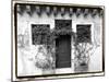 Venetian Doorways V-Laura Denardo-Mounted Photographic Print
