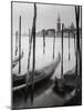 Venetian Gondolas - Drift-Bill Philip-Mounted Giclee Print