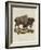 Venetian Natural History, 1771-null-Framed Giclee Print