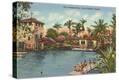 Stretched Canvas Print
