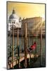Venetian Sunlight - Gondola Pier-Philippe HUGONNARD-Mounted Photographic Print