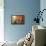 Venetian Sunlight - Rio de le Do Torre-Philippe HUGONNARD-Framed Premier Image Canvas displayed on a wall