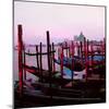 Venetian Sunset, 2018,-Helen White-Mounted Giclee Print