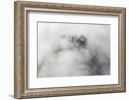 Veneto Mystically in the Fog, Aerial Picture, Cemetery, Ground Fog, Bassano, Italy-Frank Fleischmann-Framed Photographic Print