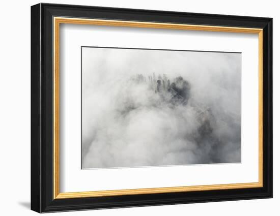 Veneto Mystically in the Fog, Aerial Picture, Cemetery, Ground Fog, Bassano, Italy-Frank Fleischmann-Framed Photographic Print