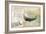 Venezia Butterfly-Andrew Michaels-Framed Art Print