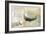 Venezia Butterfly-Andrew Michaels-Framed Art Print