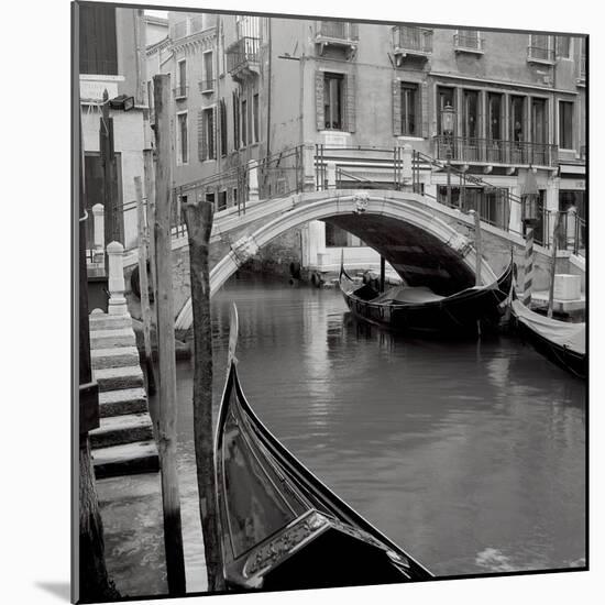 Venezia III-Alan Blaustein-Mounted Photographic Print