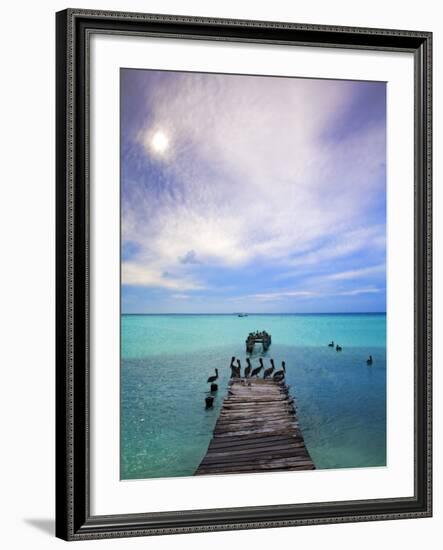 Venezuela, Archipelago Los Roques National Park, Madrisque Island, Pelicans on Pier-Jane Sweeney-Framed Photographic Print