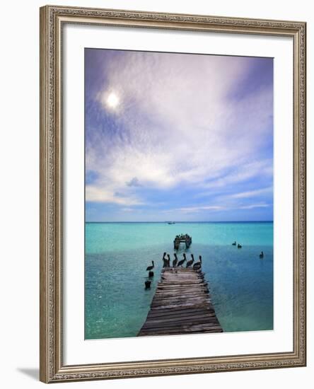 Venezuela, Archipelago Los Roques National Park, Madrisque Island, Pelicans on Pier-Jane Sweeney-Framed Photographic Print