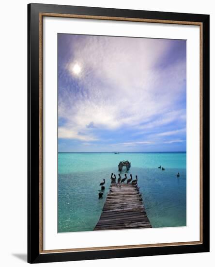 Venezuela, Archipelago Los Roques National Park, Madrisque Island, Pelicans on Pier-Jane Sweeney-Framed Photographic Print