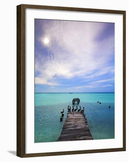 Venezuela, Archipelago Los Roques National Park, Madrisque Island, Pelicans on Pier-Jane Sweeney-Framed Photographic Print