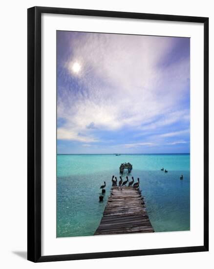 Venezuela, Archipelago Los Roques National Park, Madrisque Island, Pelicans on Pier-Jane Sweeney-Framed Photographic Print