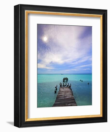 Venezuela, Archipelago Los Roques National Park, Madrisque Island, Pelicans on Pier-Jane Sweeney-Framed Photographic Print