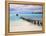 Venezuela, Archipelago Los Roques National Park, Pier on Madrisque Island-Jane Sweeney-Framed Premier Image Canvas