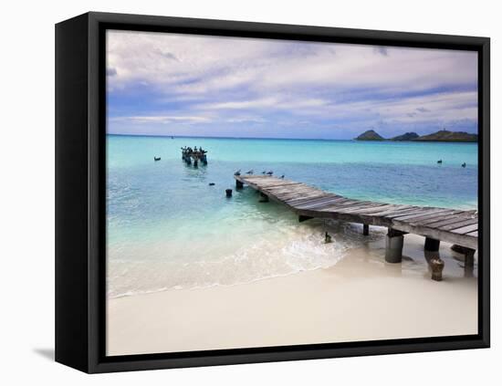 Venezuela, Archipelago Los Roques National Park, Pier on Madrisque Island-Jane Sweeney-Framed Premier Image Canvas