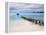 Venezuela, Archipelago Los Roques National Park, Pier on Madrisque Island-Jane Sweeney-Framed Premier Image Canvas