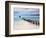 Venezuela, Archipelago Los Roques National Park, Pier on Madrisque Island-Jane Sweeney-Framed Photographic Print