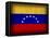 Venezuela-David Bowman-Framed Premier Image Canvas