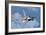 Venezuelan Air Force F-16 in Flight over Brazil-Stocktrek Images-Framed Photographic Print