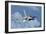 Venezuelan Air Force F-16 in Flight over Brazil-Stocktrek Images-Framed Photographic Print