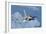 Venezuelan Air Force F-16 in Flight over Brazil-Stocktrek Images-Framed Photographic Print