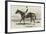 Vengeance, the Winner of the Cesarewitch Stakes, 1856-null-Framed Giclee Print