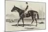 Vengeance, the Winner of the Cesarewitch Stakes, 1856-null-Mounted Giclee Print