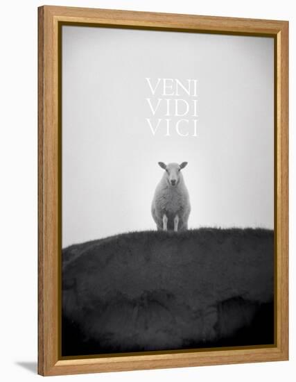 Veni, Vidi, Vici-Lee Frost-Framed Stretched Canvas