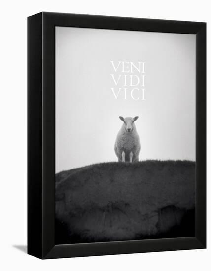 Veni, Vidi, Vici-Lee Frost-Framed Stretched Canvas