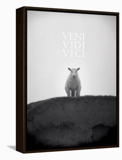 Veni, Vidi, Vici-Lee Frost-Framed Stretched Canvas