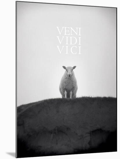 Veni, Vidi, Vici-Lee Frost-Mounted Art Print