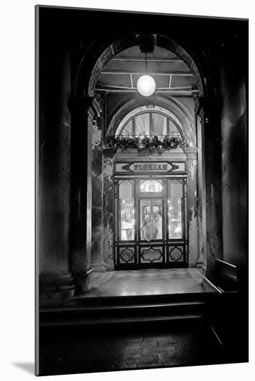 Venice Arches VI-Rita Crane-Mounted Photographic Print