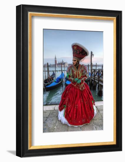 Venice at Carnival Time, Italy-Darrell Gulin-Framed Photographic Print