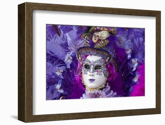 Venice at Carnival Time, Italy-Darrell Gulin-Framed Photographic Print