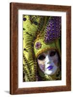 Venice at Carnival Time, Italy-Darrell Gulin-Framed Photographic Print