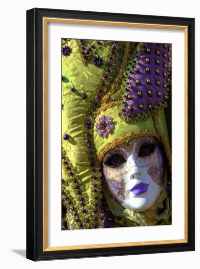 Venice at Carnival Time, Italy-Darrell Gulin-Framed Photographic Print