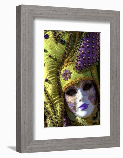 Venice at Carnival Time, Italy-Darrell Gulin-Framed Photographic Print