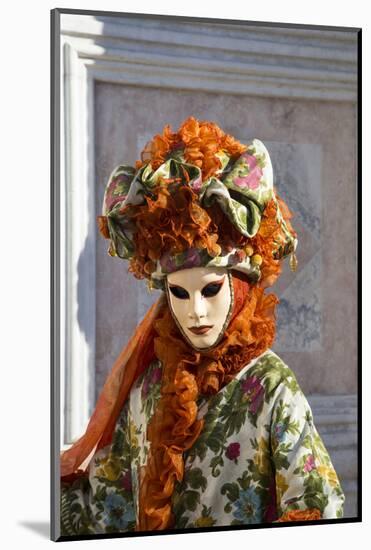 Venice at Carnival Time, Italy-Darrell Gulin-Mounted Photographic Print