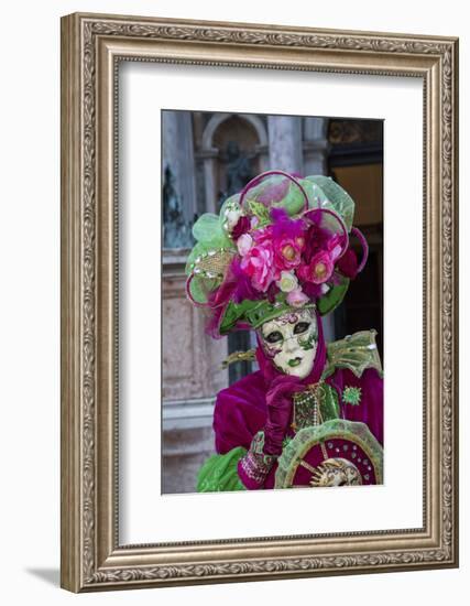 Venice at Carnival Time, Italy-Darrell Gulin-Framed Photographic Print