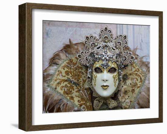 Venice at Carnival Time, Italy-Darrell Gulin-Framed Photographic Print