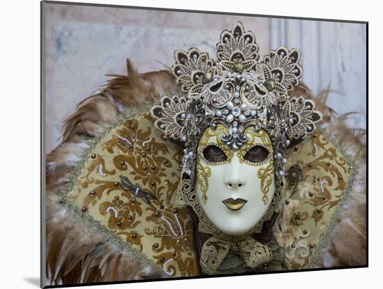 Venice at Carnival Time, Italy-Darrell Gulin-Mounted Photographic Print