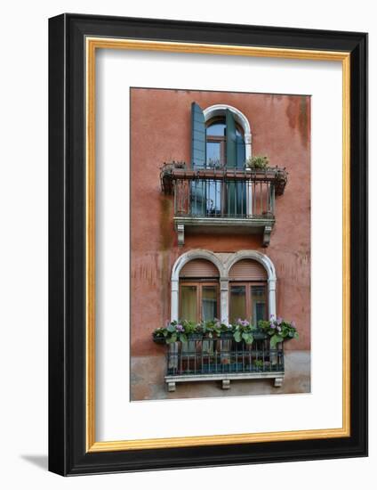 Venice at Carnival Time, Italy-Darrell Gulin-Framed Photographic Print