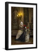 Venice at Carnival Time, Italy-Darrell Gulin-Framed Photographic Print