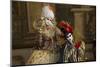 Venice at Carnival Time, Italy-Darrell Gulin-Mounted Photographic Print